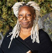  Vijf sterren die zich voor mediwiet inzetten