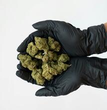  Fined Arizona Cannabis Lab Caught Breaking Rules Again