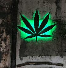 Why the Black Market Doesn’t Cease with Legalization?