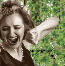 Cannabis e menopausa: risultati promettenti da uno studio di Harvard