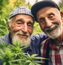 Cannabis World Cannabis Photo Cup 2025.