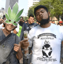 Los cogollos de Xochipilli, nuevo club de cannabis en México