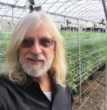 Zapobieganie chorobom i szkodnikom