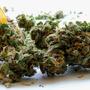 2,30 Euro für medizinisches Cannabis