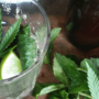 Cócteles cannábicos de verano psicotropicales