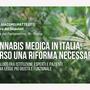 Cannabis Medica: 14 luglio alla Camera, la voce dei pazienti chiede una riforma concreta