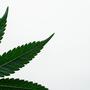 Dope und Weed im Marktregal