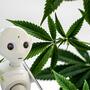 IA e coltivazione di cannabis: uno sforzo congiunto