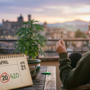 420, celebrazioni, festa