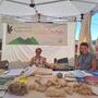 Canapa, valle, susa, evento