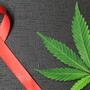 Cannabis per alleviare il dolore da HIV