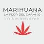 "Marijuana, il fiore della canapa": la lezione di Daniel Vidart su potere, stigma e proibizionismo