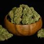 Royal Queen Seeds lanceert als eerste revolutionaire F1 hybride zaden op de cannabismarkt
