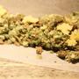 Ein Cannabis-Gutachter in Barcelona