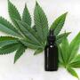 Ist der CBD-Hype nur ein Marketing-Trick?