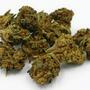 Schwarzmarkt-Cannabis stark verunreinigt