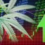 Cannabis Business
