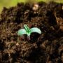 Supersoil