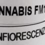 FM1