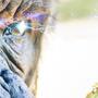 Gorilla Glue # 1: L'ultima varietà di Zamnesia che ti mette KO