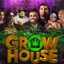 Top 5 de películas sobre marihuana