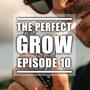 The Perfect Grow deel 10: We kijken terug en vooruit