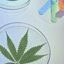 Wann zahlen die Krankenkassen für medizinisches Cannabis?