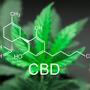 CBD