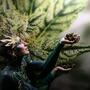 Indica Sativa Trade: la Fiera della Canapa più attesa d'Italia torna a Bologna