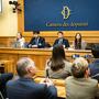 Cannabis Light alla Camera: presentato lo studio sull'impatto economico