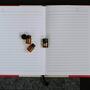 Immagine d'archivio