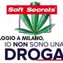 Immagine d'archivio