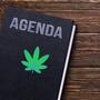 Volles Programm - Eure Cannabis-Termine 2025