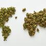 cannabisbeleid buitenland