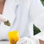 ¿A Qué Medicamentos Podría Sustituir el Cannabis?