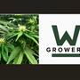 growery