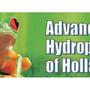 Advanced Hydroponic of Holland