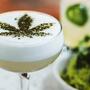 Marijuana, cannabis o erba? Chiamiamola semplicemente macchina da lavoro.
