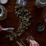 Cannabis-canada-esportazioni-italia2