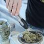 cannabis