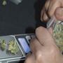 Cannabis als banenmotor