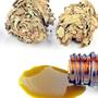 Medicinaal Cannabis Nieuws
