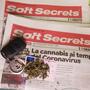 Cannabis terapeutica e patente di guida