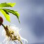 Coffeeshops lanceren campagne ‘Cannabis en rijden? – Speel op zeker!’