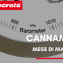 Cannametro di Marzo 2020