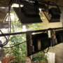 Prepara cultivo indoor de marihuana desmontable.