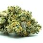 Tipos de cosecha y curado de marihuana: pre, post, temprana y sin semilla según Jorge Cervantes.