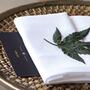 Duurzaam, trendy en veelzijdig - De cannabisconsumenten onder de loep