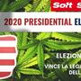 Elezioni USA 2020, vince la legalizzazione della cannabis