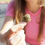 Medizinisches Cannabis: Nebenwirkungen im Griff haben